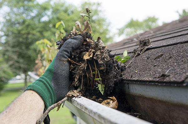 we offer comprehensive maintenance packages that include regular gutter cleaning